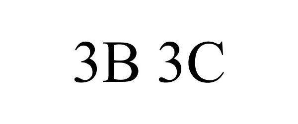  3B 3C