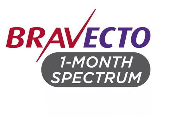 BRAVECTO 1-MONTH SPECTRUM