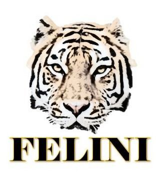 Trademark Logo FELINI