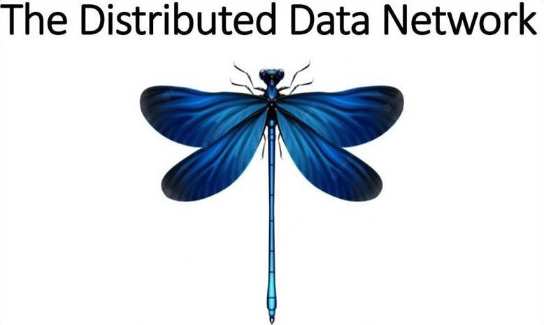 Trademark Logo THE DISTRIBUTED DATA NETWORK