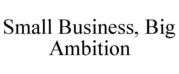  SMALL BUSINESS, BIG AMBITION