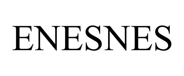 Trademark Logo ENESNES