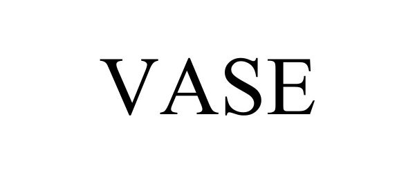 Trademark Logo VASE