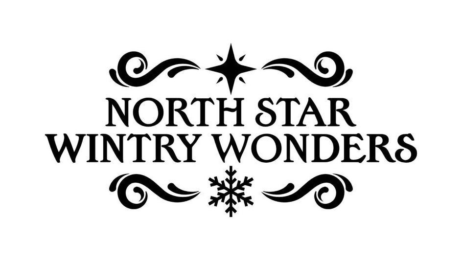 Trademark Logo NORTH STAR WINTRY WONDERS
