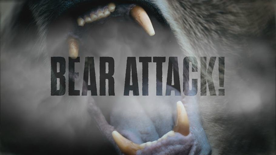 Trademark Logo BEAR ATTACK!