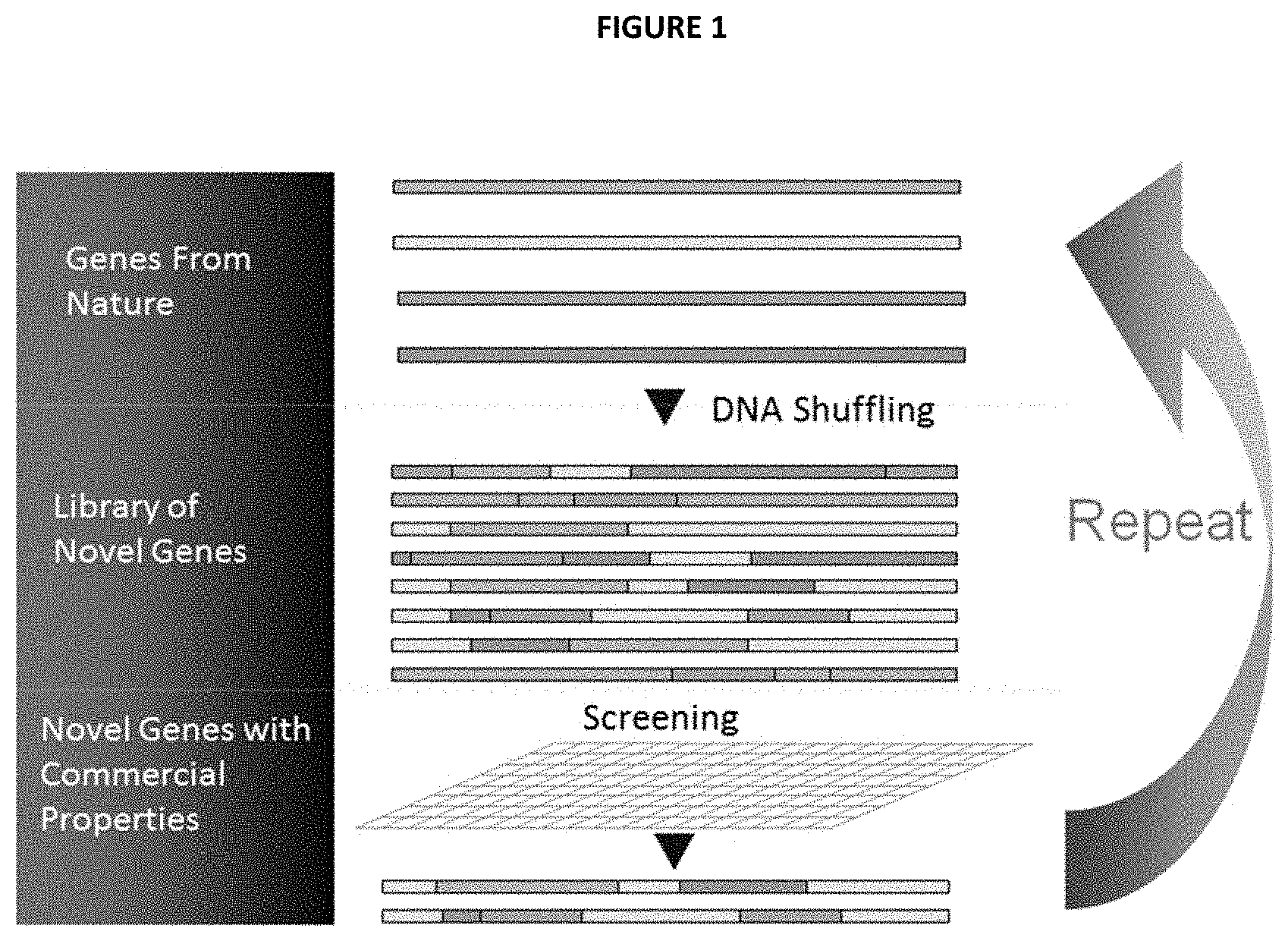 Leftover data in S3C 0408 ROM padding, Page 2