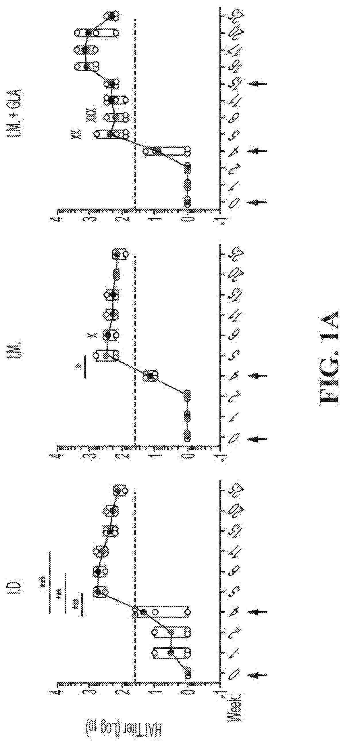 Alkynyl Stearic Acid – VectorLabs