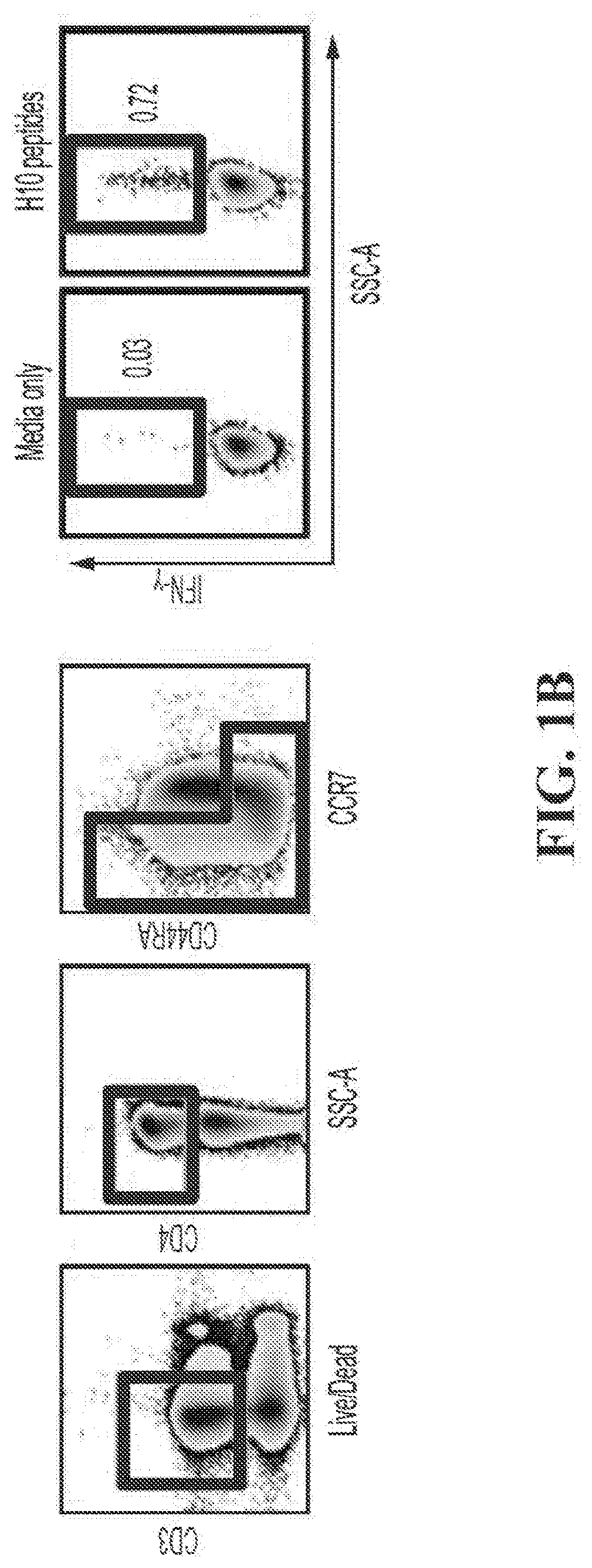 Alkynyl Stearic Acid – VectorLabs