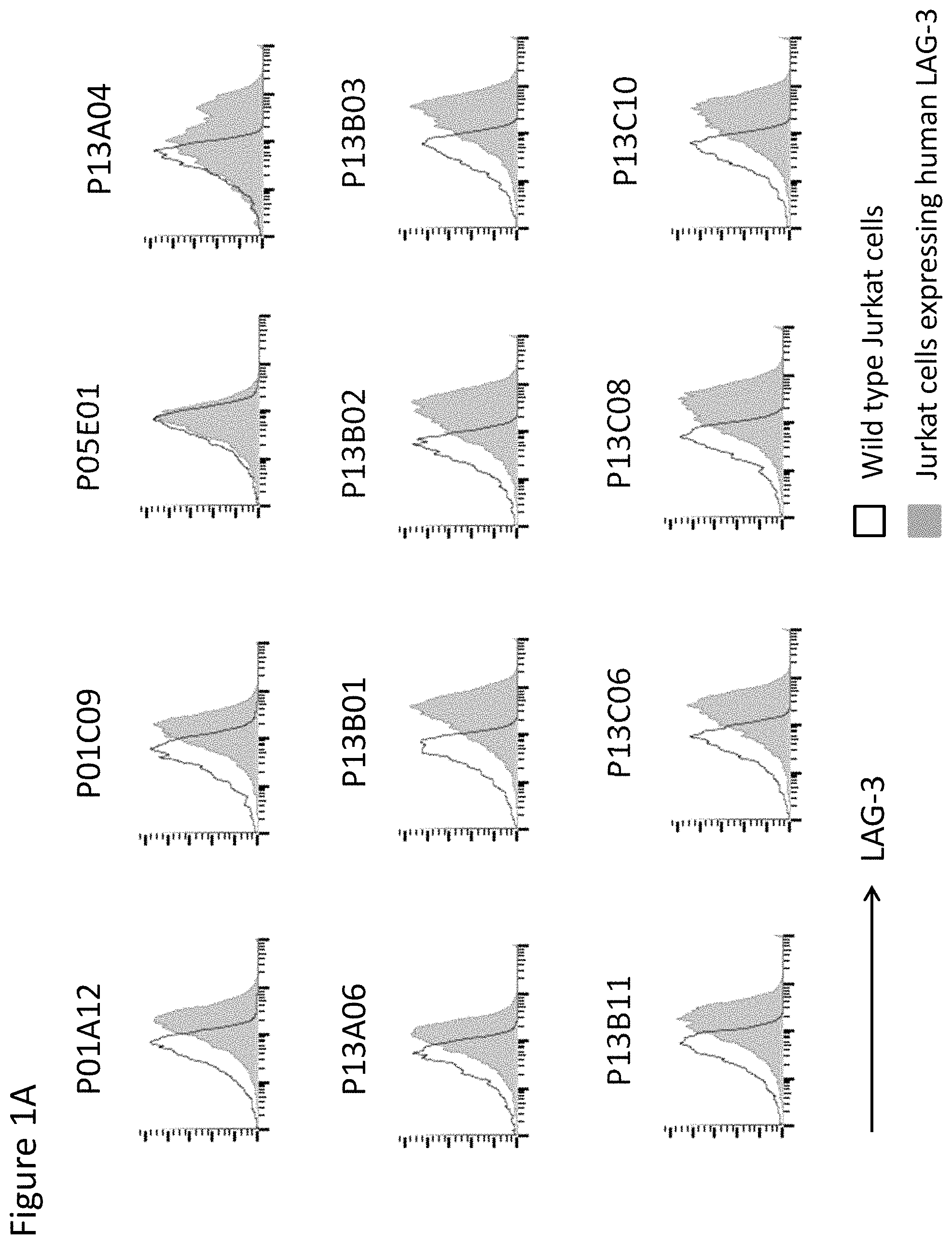 Anti-LAG-3 antibodies and methods of use thereof Patent Grant 